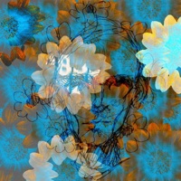 juni - Single - JYNAS