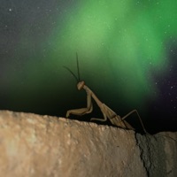 MORNING AIR - Single - MTR