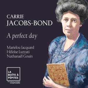 A Perfect Day
