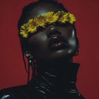 Dimakatso (feat. Flex the Ninja) - Single - KaeB