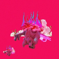 {loops}:side_a - Thxk_u