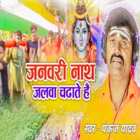January Nath Jalwa Chadhate Hai - Single - Pankaj Yadav