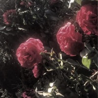PARANOID (remixes) - EP - kodyiskool