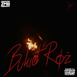 IBUPROM Ogór & Fabes