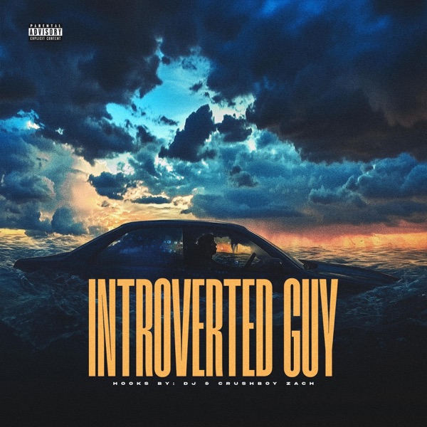 Introverted Guy