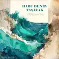 Habu Deniz Tasacak