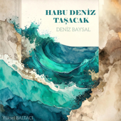 HABU DENİZ TAŞACAK song art