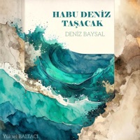 Habu Deniz Tasacak