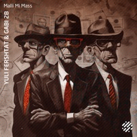 Malli Mi Mass (South Zone Remix) - Single - Yuli Fershtat & Gabi 2B