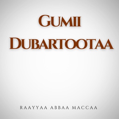 Rayya Studio - Raayyaa Abbaa Maccaa Vol.33D