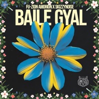 BAILE GYAL - Single - SkizzyNoise & Fu-zion Amorion