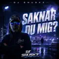 SAKNAR DU MIG?