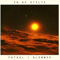 In de stilte (feat. Slowmoo) - Single - Fataal