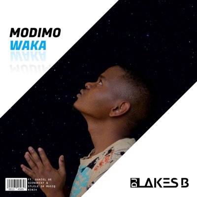 Modimo Waka (feat. Daniel De Scenarist & Stlele SK MusiQ) - Single
