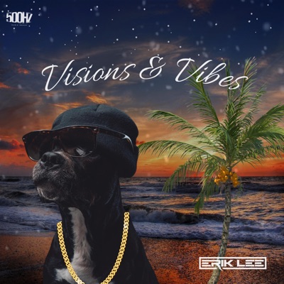 Visions & Vibes - Single