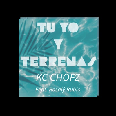 TU YO Y TERRENAS (feat. Rosaly Rubio) [Radio Edit] - Single