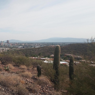 In The Wind (feat. Yun Stache) - Single