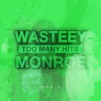 Too Many Hits Volune 3 - Single