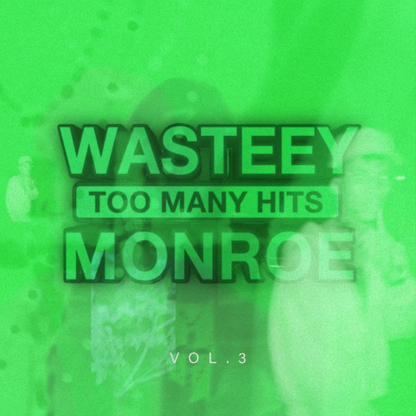 Too Many Hits Volune 3