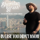 In Case You Didn't Know (feat. Blesswin Immanuel & Denvin Lawrence)