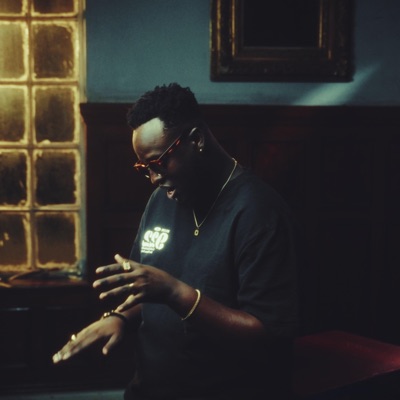 Disco Vybez - Single