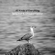 All Kinds of Everything - Terry Hall & Sinead O'Connor