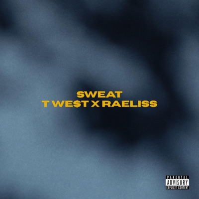 SWEAT (feat. Raeliss) - Single