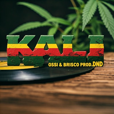 KALI (feat. Brisco & Dnd Records) - Single