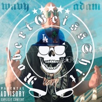 RobertGeissShit - Single - Wavy Adam