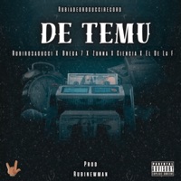 DE TEMU (feat. Brega 7, Zunna, El De La F, La Ciencia & RubiNewman prod) - Single - Rubirosagucci