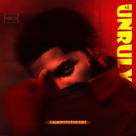 Dance CalmwiththeVibe