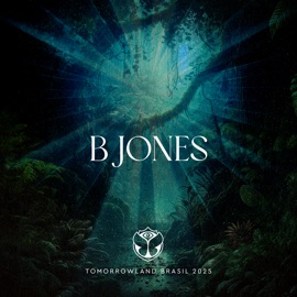 Insomnia / Show Me Love (feat. Robin S.) / Dusk Till Dawn (Mixed) Art Directors, Rocco, Steve Angello, Laidback Luke & Artento Divini