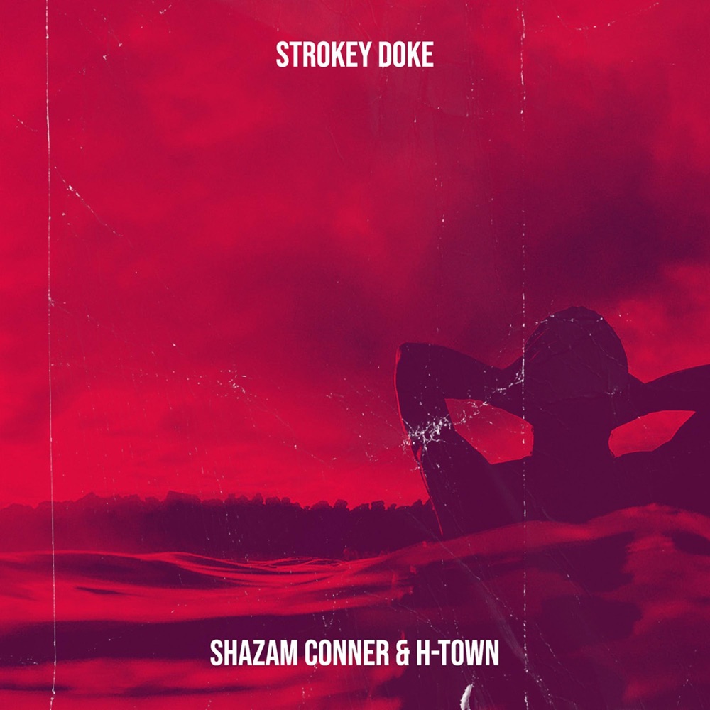 Обложка альбома «Strokey Doke - Single» — Shazam Conner & H-Town