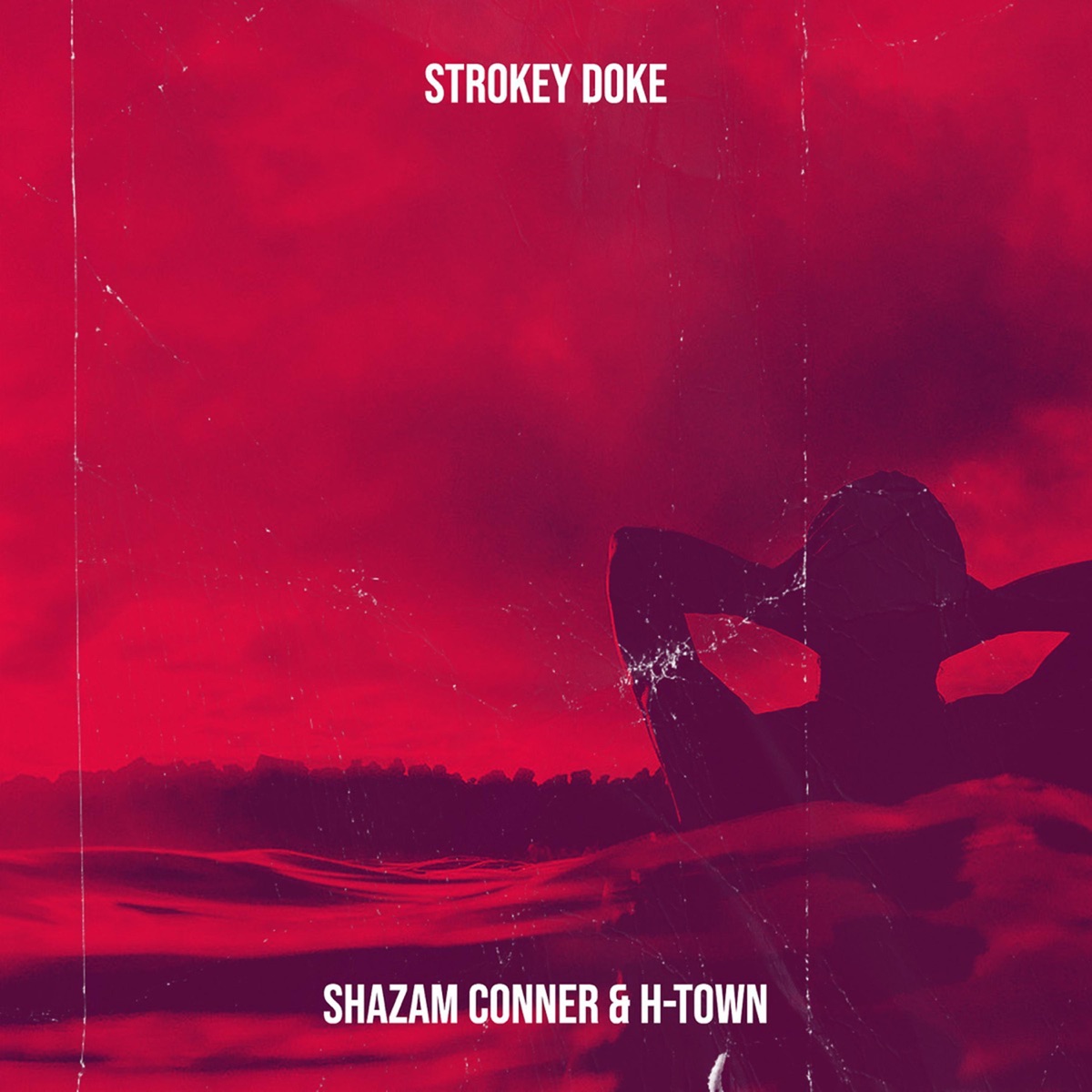 Strokey Doke cover