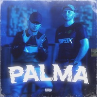 Palma - Single - Bubi Flex, Efenel & FNL ZONE