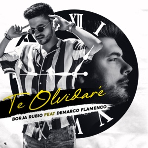Te Olvidaré (feat. Demarco Flamenco) - Single
