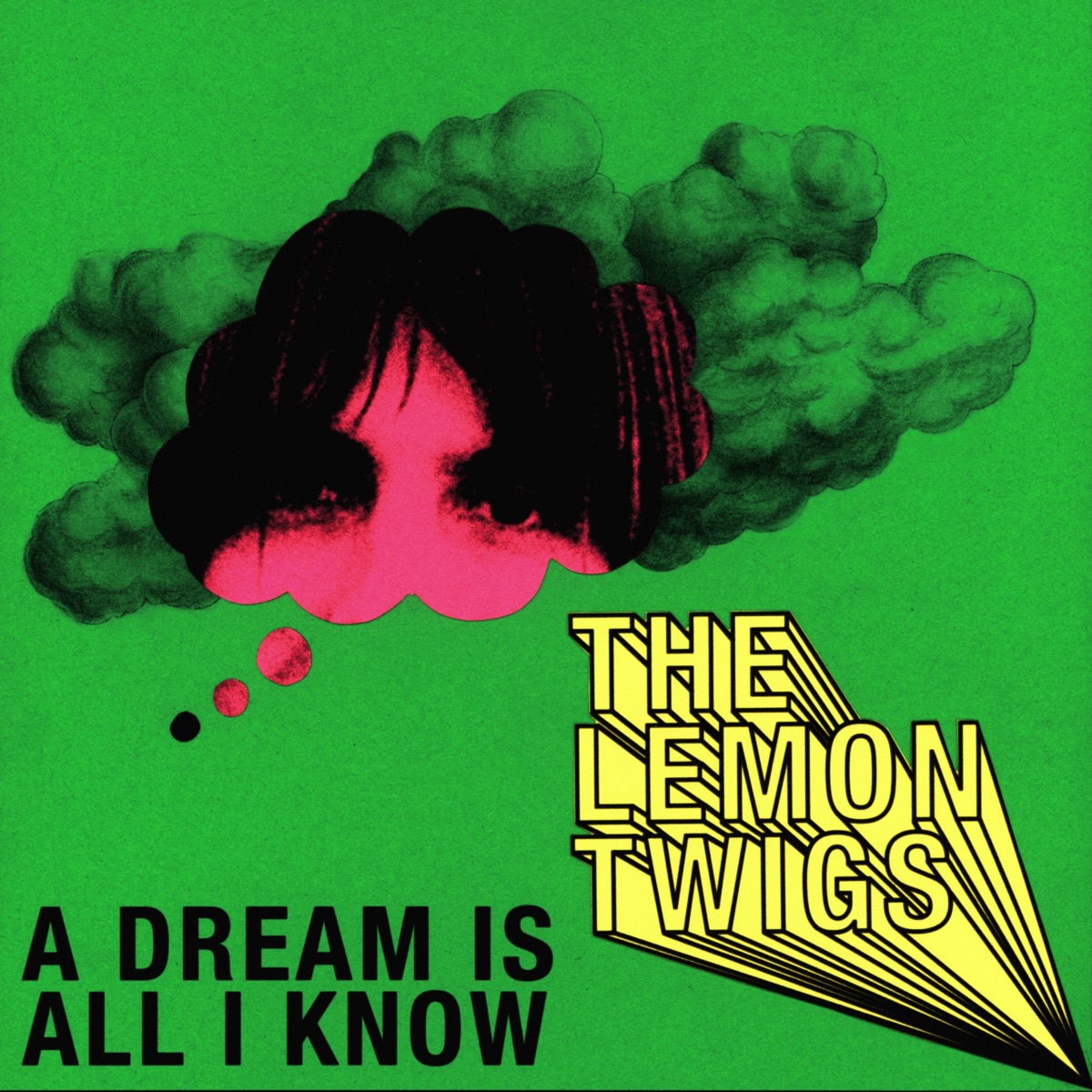 A Dream Is All We Know - The Lemon Twigsのアルバム - Apple Music