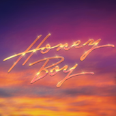 Honey Boy (feat. Nile Rodgers &amp; Shenseea) - Purple Disco Machine &amp; Benjamin Ingrosso Cover Art