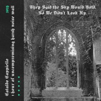 They Said the Sky Would Hold, So We Didn't Look Up - Cataldo Cappiello