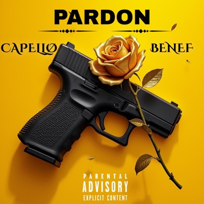 PARDON (feat. BENEF) - Single
