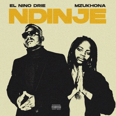 Ndinje (feat. Mzukhona) - Single