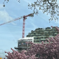 25 BURFDAY DRIP - Single - Lil Problem