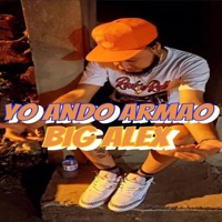 Yo ando armao - Single - Big Alex