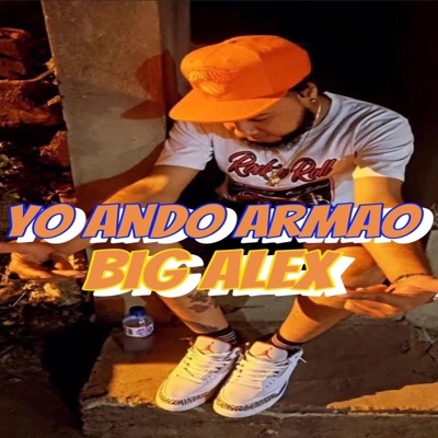 Yo ando armao - Single