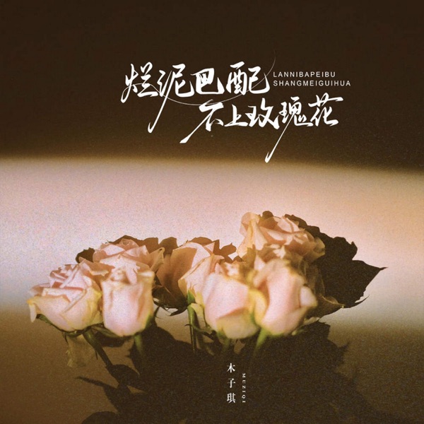 烂泥巴配不上玫瑰花 - Single