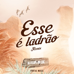 Esse é Ladrão (feat. Mc Topre & MC G15) [Remix]