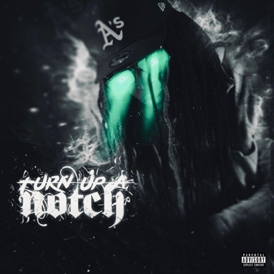 Turn Up a Notch - Single