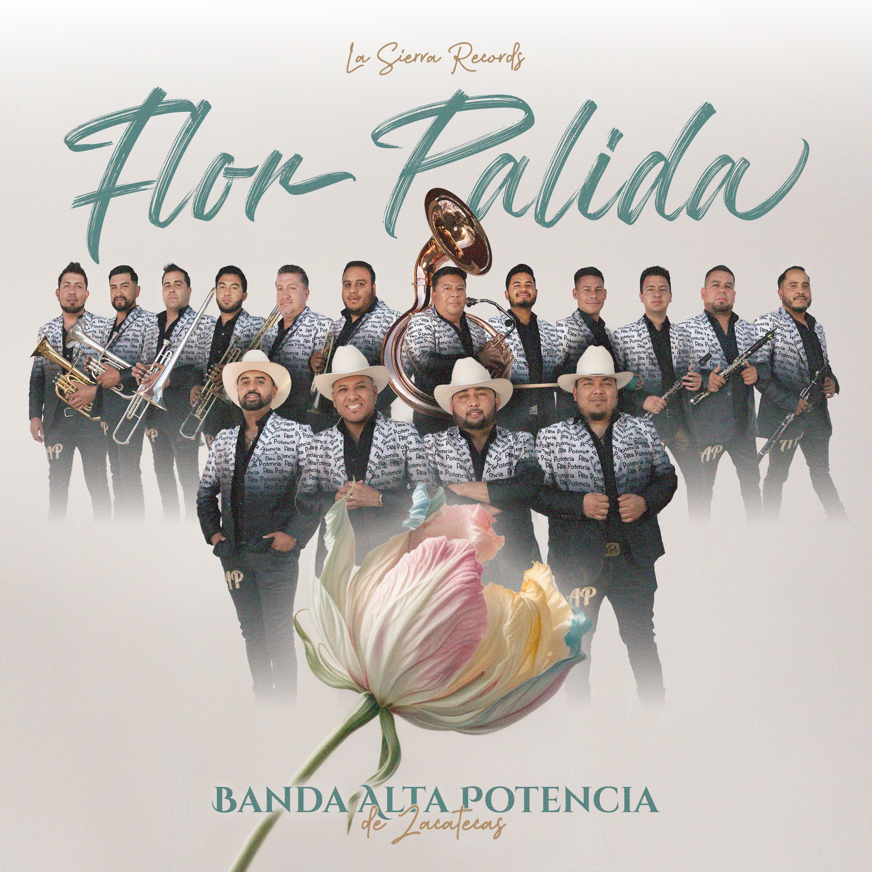 BANDA ALTA POTENCIA - FLOR PALIDA