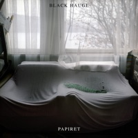 Papiret (Radio edit) [feat. Erlend O. Nødtvedt, Erlend Apneseth, Øyvind Hegg-Lunde, Stephan Meidell, Erlend Apneseth trio & Olav H. Hauge] - Single - Black Hauge