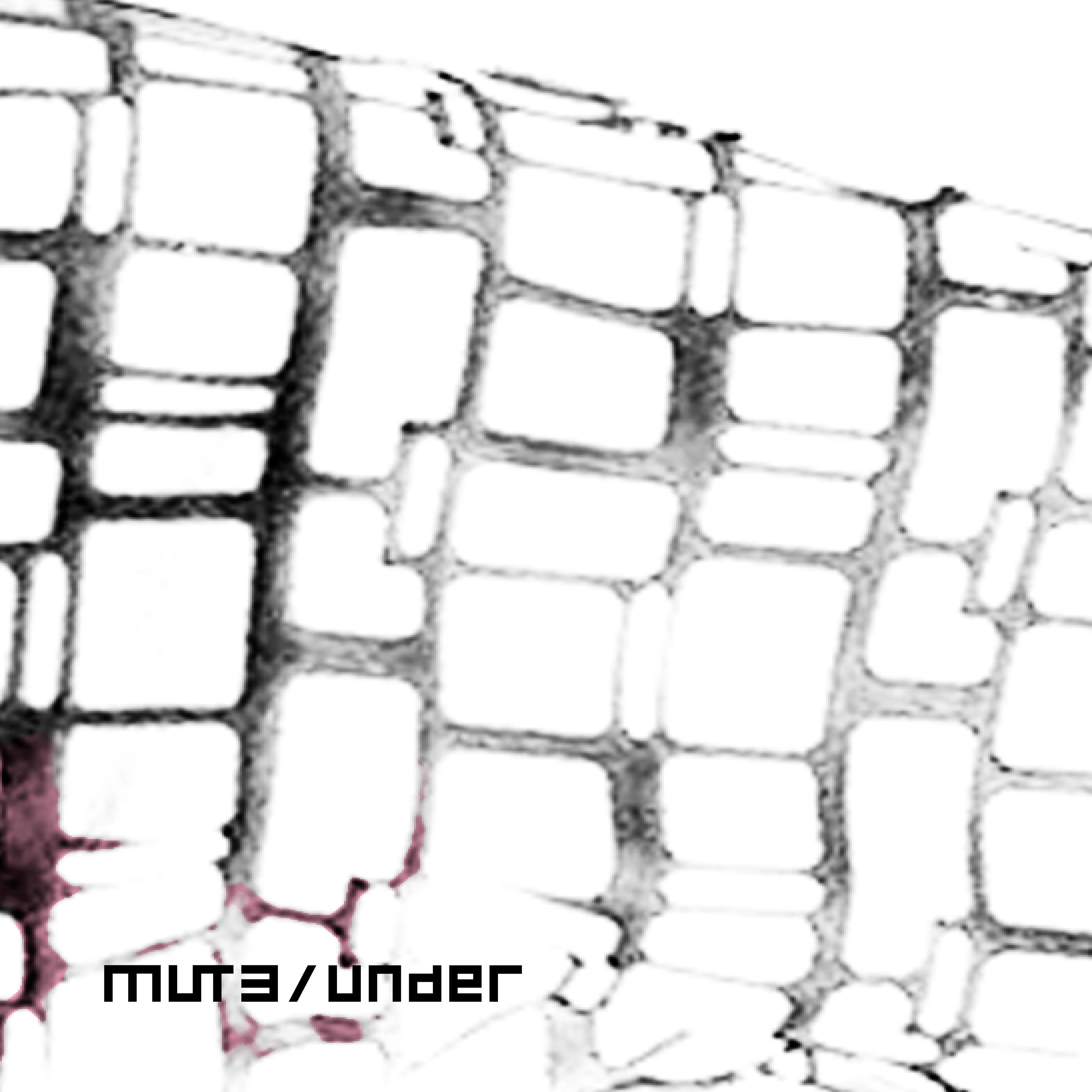 under - EP